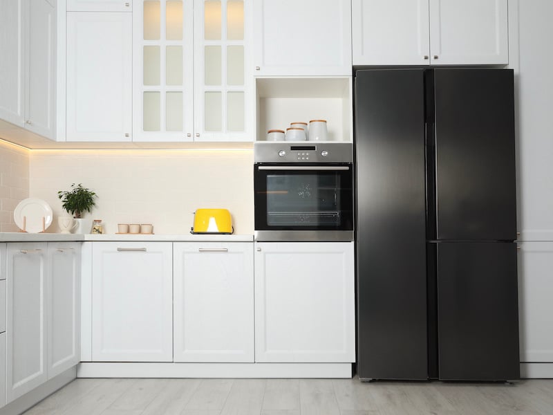 A Guide To Choosing The Best Refrigerator For You - Colors and Finishes