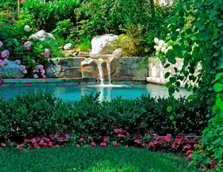 Landscaping Your Yard: 7 Tips You Need To Know