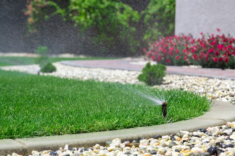 Taking Care Of Your Lawn In The Summer Heat 2.jpeg