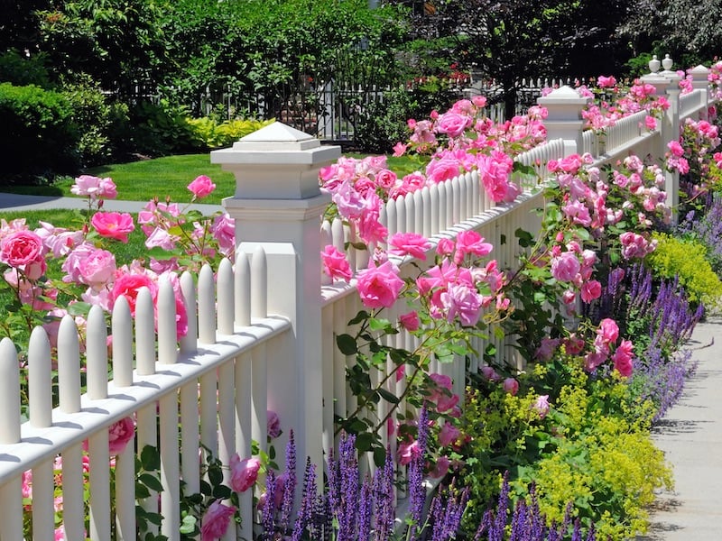Get Your Home Ready For Spring and Summer - Yard and Landscaping