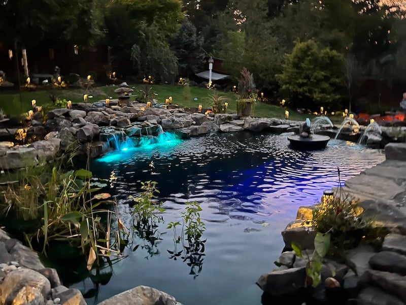 How To Enhance Your Outdoor Living Space With A High-End Water Feature