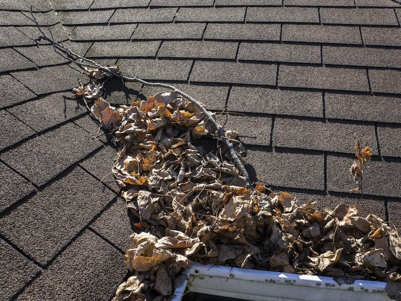How To Get Your Home Ready For Spring - Clean The Gutters