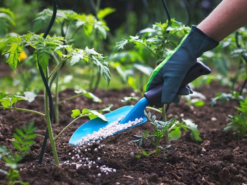 How To Prepare Your Lawn and Garden For Spring - Apply Fertilizer