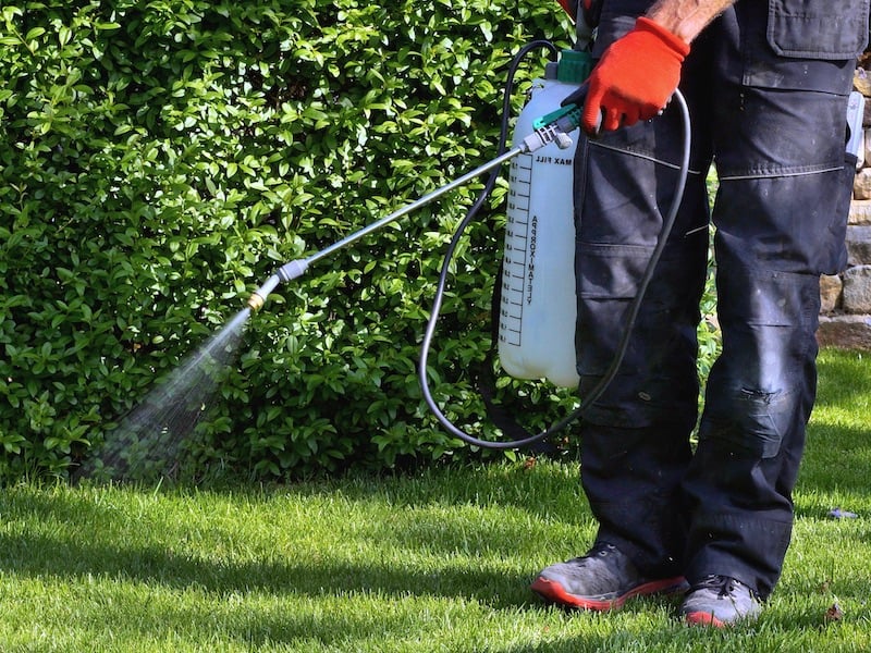 How To Prepare Your Lawn and Garden For Spring - Apply Pre-emergent Herbicide