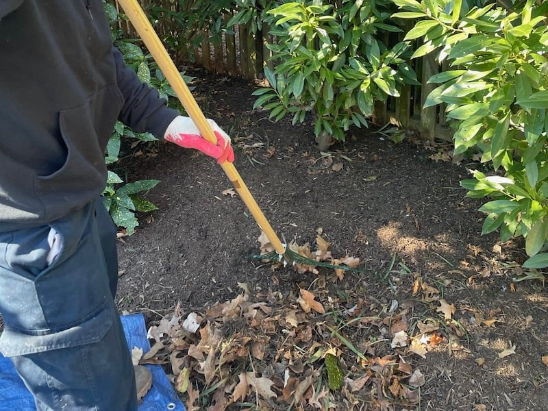 How To Prepare Your Lawn and Garden For Spring - Clean Out The Beds