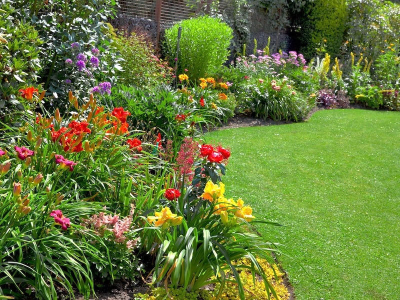 How To Prepare Your Lawn and Garden For Spring