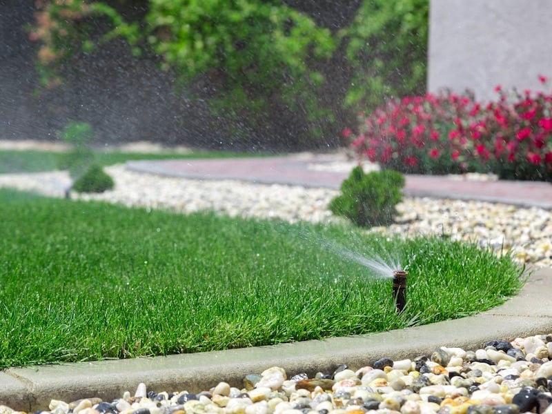 Taking Care Of Your Lawn In The Summer Heat - 2