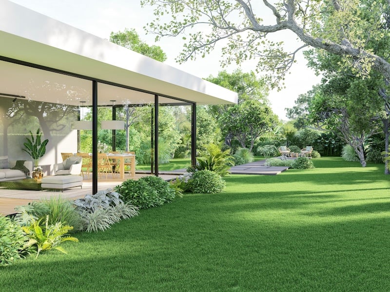 Taking Care Of Your Lawn In The Summer Heat - Intro
