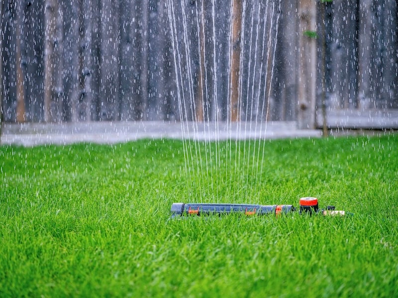 Taking Care Of Your Lawn In The Summer Heat - Water Deeply and Infrequently