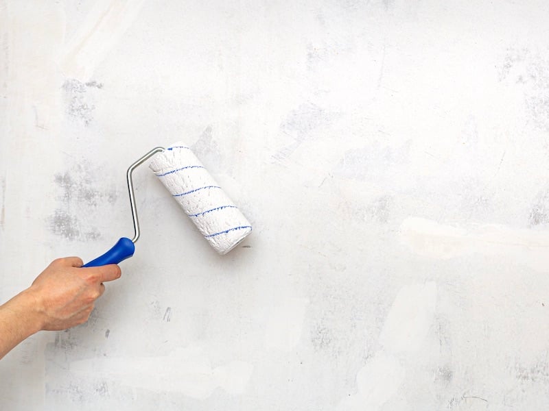 What Are The Different Types and Finishes Of Paint - Water Based Primer